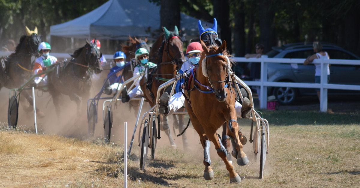 Horse racing event with horse-drawn carts on a dusty track, showcasing speed and competition.